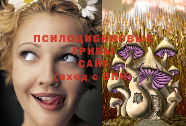 гашишное масло Аркадак