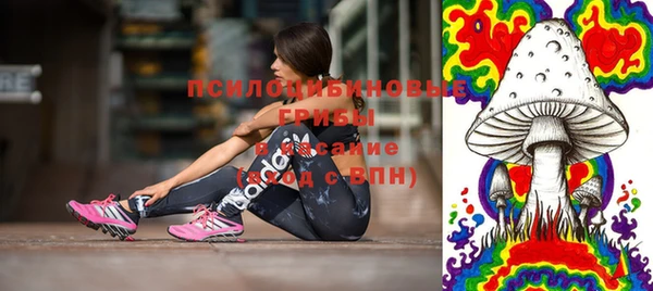 метадон Арсеньев