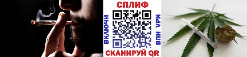 Конопля план  Змеиногорск 